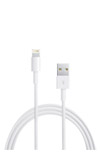 Apple Lightning to USB Cable